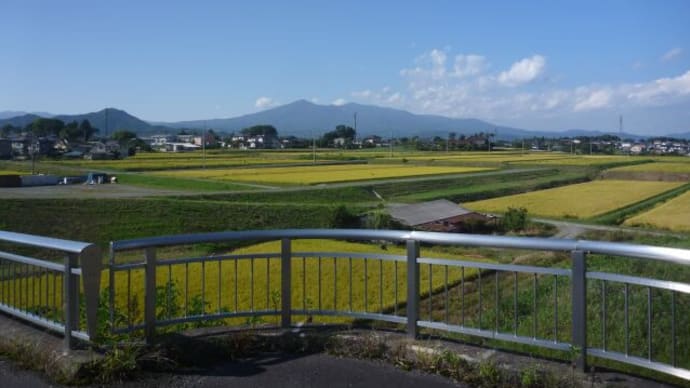 第3のコースで栗拾い・・・
