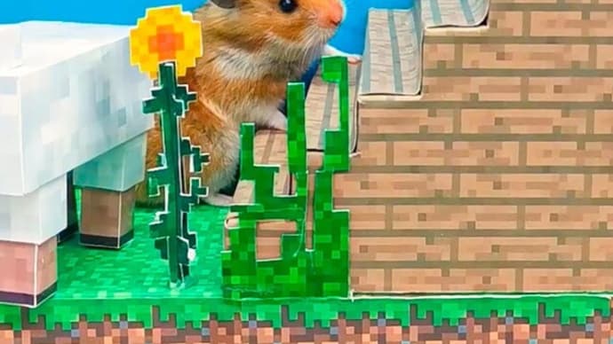 Hamster in the real world of Minecraft #Shorts 😱 Homura Ham Pets