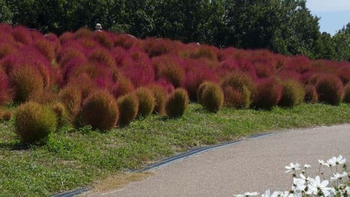 万博記念公園