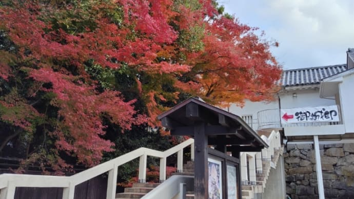 晩秋の彦根城