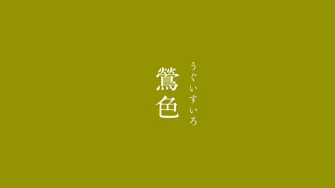 黄鶯睍睆(*^.^*)