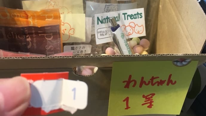 引き寄せ増し増しの究極の健康法