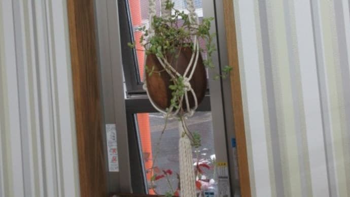 さあ今日から