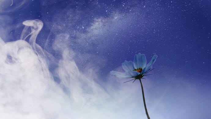 月のない夜を、歩いた。
