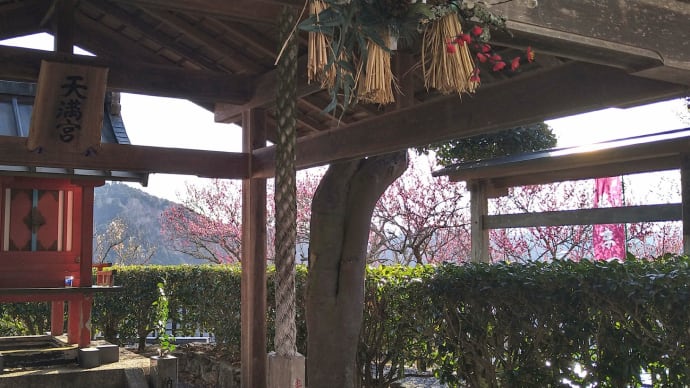 月ケ瀬「梅林公園」、そして「みおろし茶屋」から。