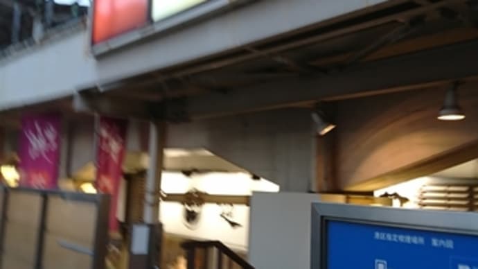 散歩、気になるブログ