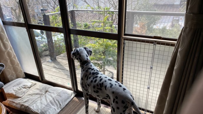 いつもと違う日常