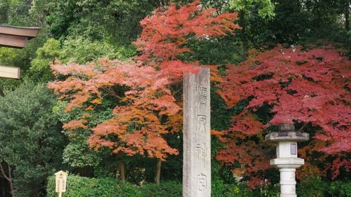 橿原神宮に新年の絵馬・若桜友苑