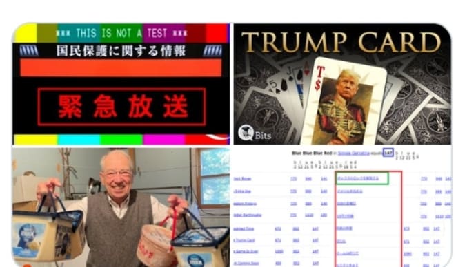 ゲームは終わりだ!DSアメリカを沈める!約束の時間もうすぐ来る!切り札【トランプカード】自由の金曜日!チャックグラスリー氏の暗号通信来た