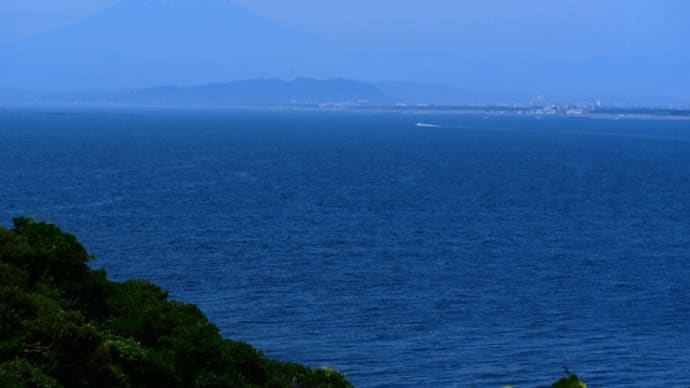 富士山が見えたんだ?