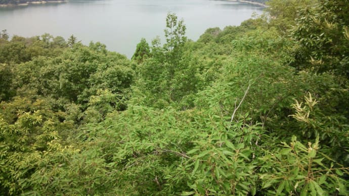 満濃池見物
