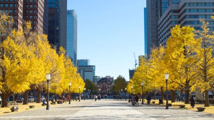 東京駅でイチョウを撮影したらギンナン臭くなるほど長居してしまった