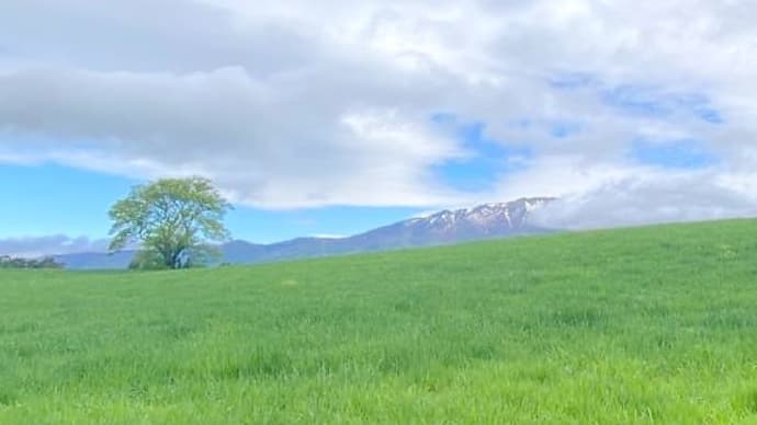 岩手二日目、小岩井農場