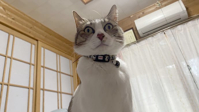 ガン見