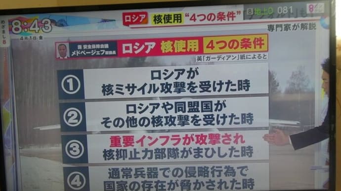 プリンストン大学の核戦争シュミレーションとブダペスト覚書
