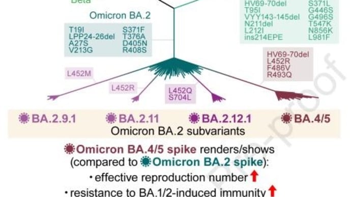 「BA.5」で再感染しやすい理由