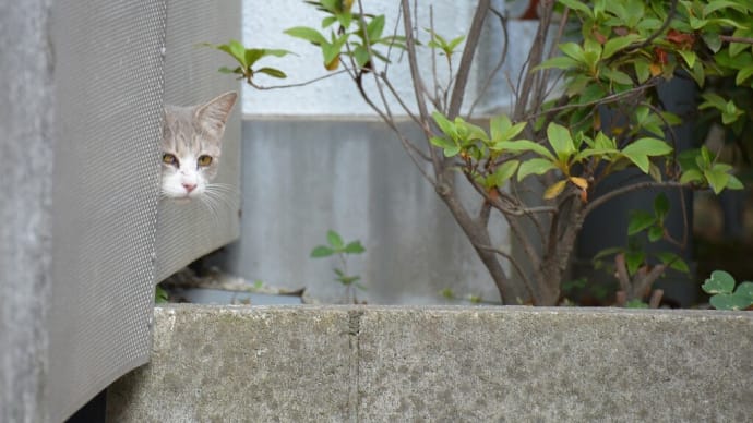 また何時か、何処かで・・・