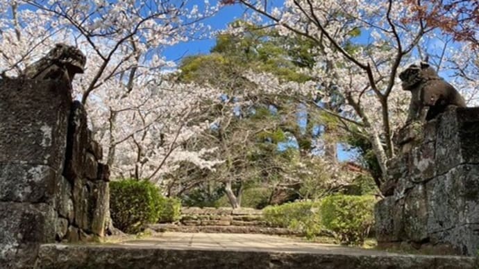 4月3日の平戸観光バス!