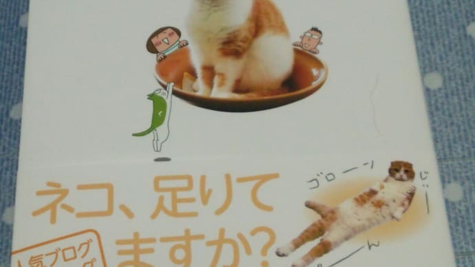 『今日も猫をいただきます。』津田蘭子著、ワニブックス 刊、2015.5.9