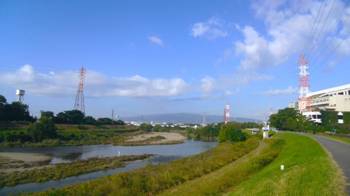 昨日の農業公園 ・・・ 11月4日 ジョビ娘さんワンタッチ