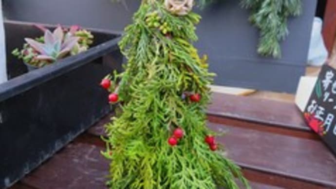 メリークリスマス!! & イチゴたち & パパイヤの悲劇