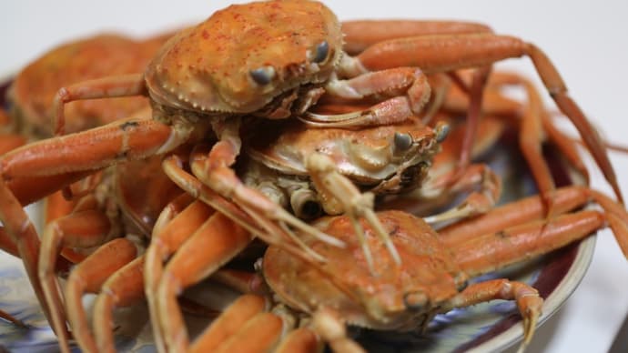北陸の冬の味覚、香箱蟹!