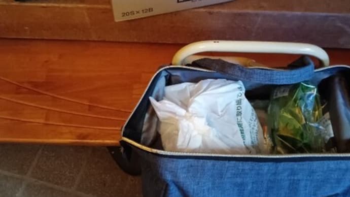 ♪ 徒歩で買い物に行き、 こんなに買ってしまってバカじゃないかしら