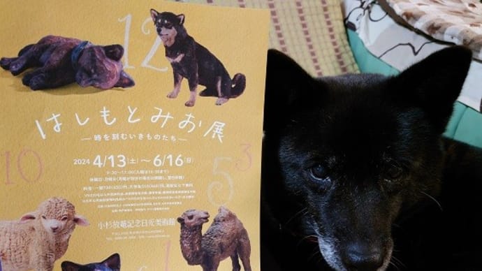日光 はしもとみお展