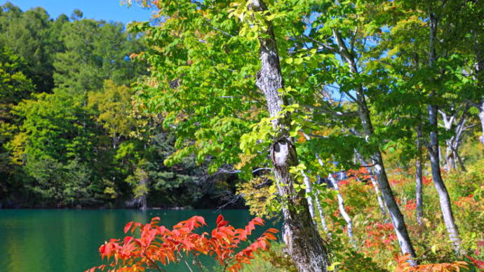 琵琶池の紅葉