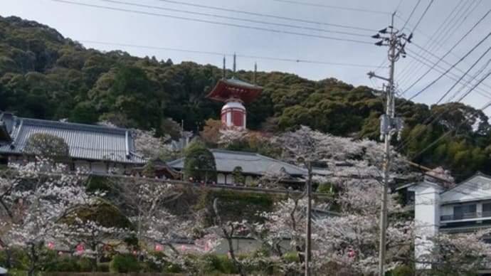 薬王寺。