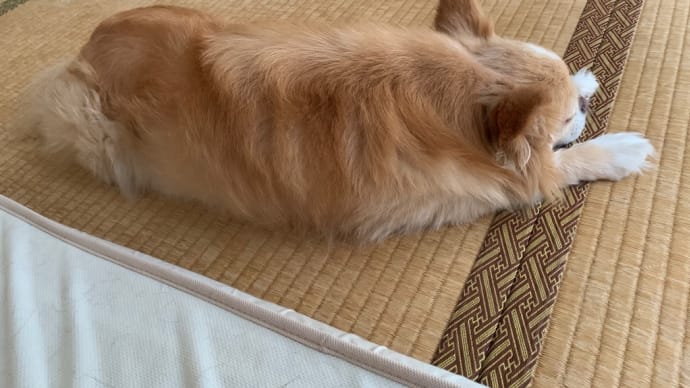 先週の件