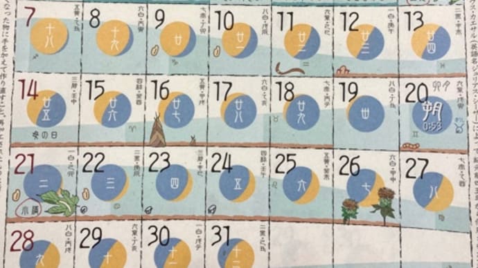 ◉5月の出没予定です 2023◉