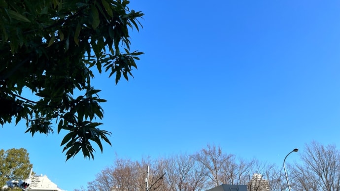 久しぶりに太陽の光を