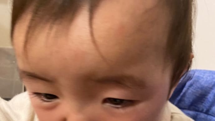 ハッシュタグ 生後10ヶ月 Goo Blog Gooブログ