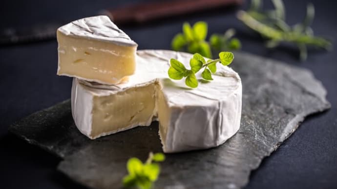 Why Japanese People Love Camembert Cheese?（なぜ日本人はカマンベールチーズが好きなのか？）