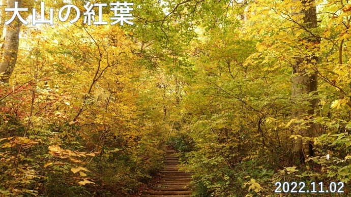 大山さん紅葉ピーク来てます♪ 11月2日