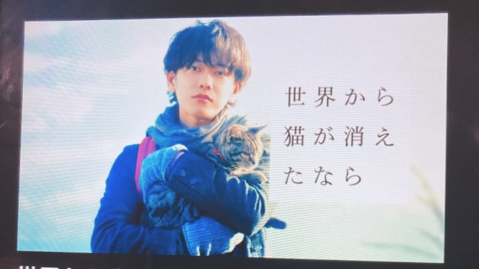 深夜の映画会〜世界から猫がきえたなら