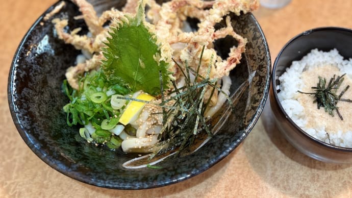 Biz-Lunch 恩田@大塚「ぶっかけげそ天うどん」