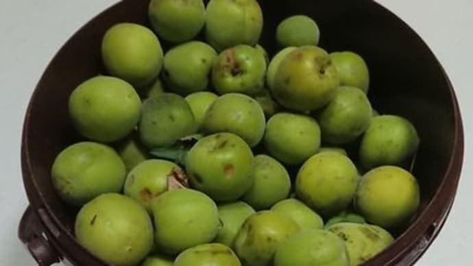 あれ?ワクチン7月中に終わるじゃなかったの??