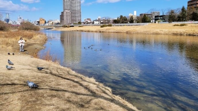 鳥と語らう・・・広瀬川河畔
