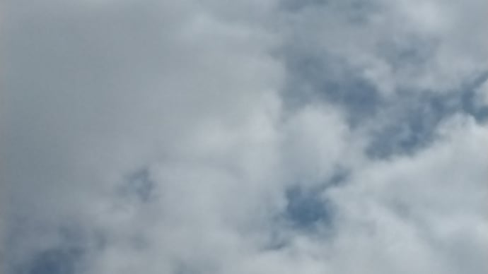 今月最後の日曜日