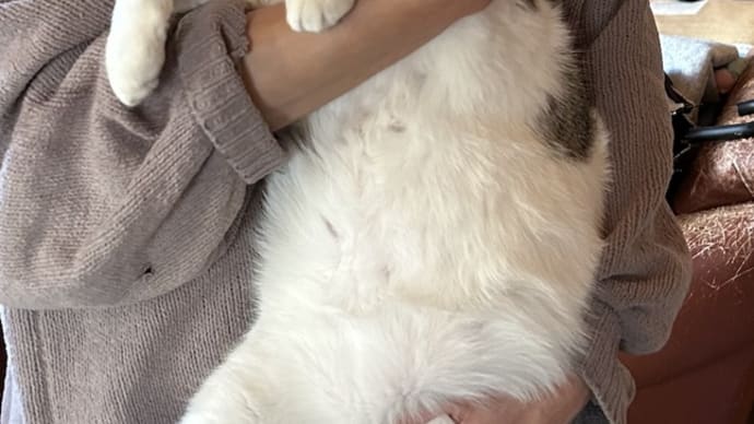 たすけの歌