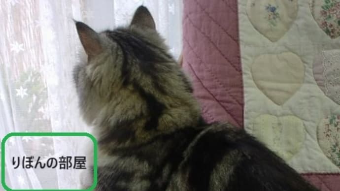 ありがとうございます~♪ 応募したバナーが掲載されたようです~♪