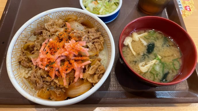 牛丼おしんこランチセット