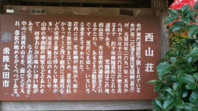 GoToウォーク