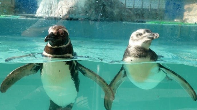 新潟県おペン路さん巡り その2 長岡市寺泊水族博物館