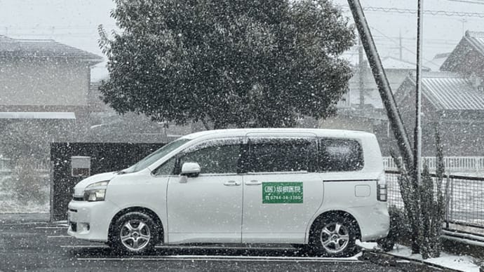 雪が降る/アダモ なのに私は・・・