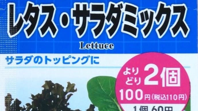 100均種子は良い!