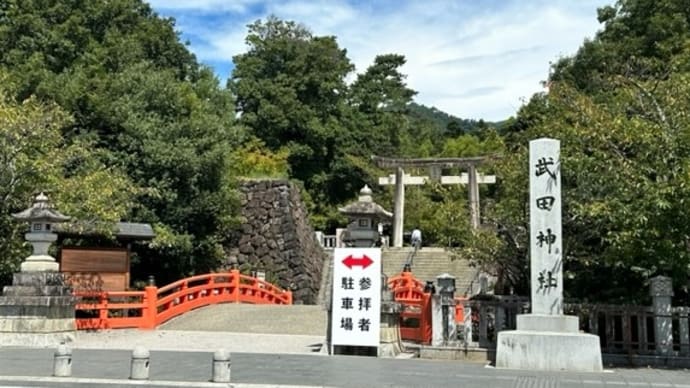 久々に再会した子猫