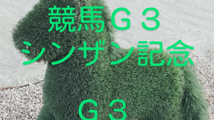 競馬G3 シンザン記念 フェアリーS 狙ってみたい馬